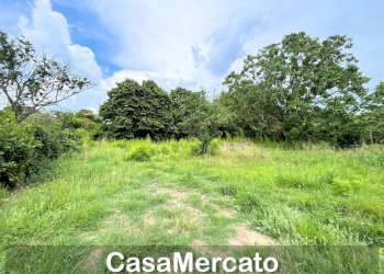 5 - Rustico Grottaferrata - foto 3