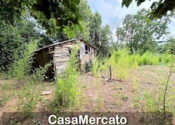 6 - Rustico Grottaferrata - foto 4