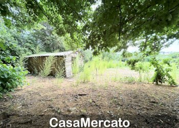15 - Rustico Grottaferrata - foto 7