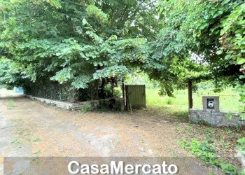17 - Rustico Grottaferrata - foto 9