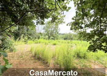 19 - Rustico Grottaferrata - foto 10