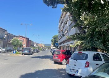 IMG_9221 - Two-room apartment Carrara - photo 7