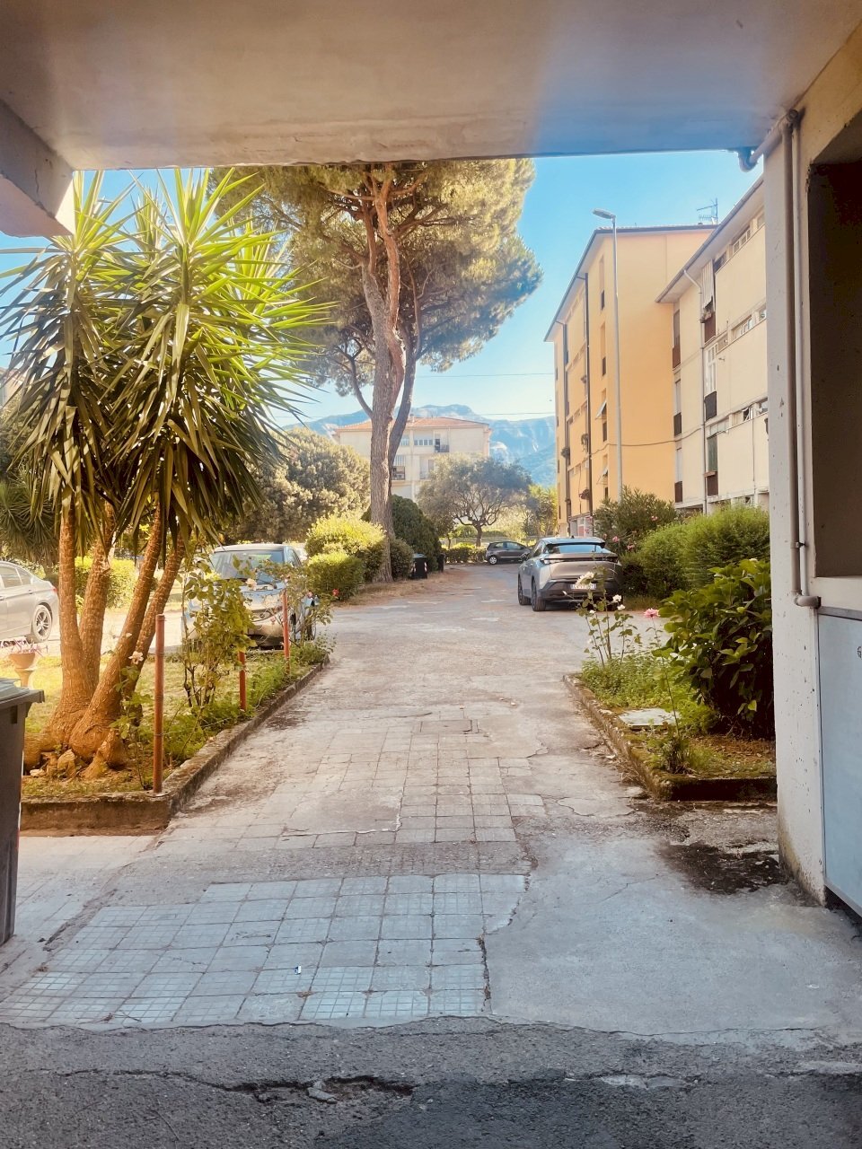 IMG_9206 - Appartamento Carrara - foto 1