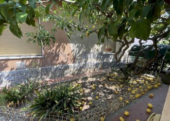 IMG_1264 - Villa Via San Francesco, Taggia - photo 21