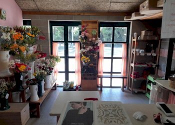 interno - Shop Via Giuseppe Verdi 3, Vado Ligure - photo 3