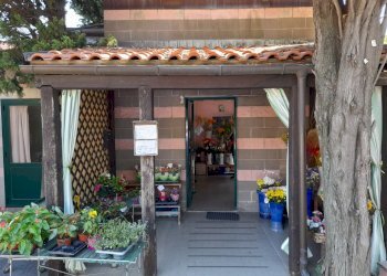 ingresso - Shop Via Giuseppe Verdi 3, Vado Ligure - photo 5