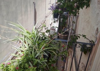 67626 - Apartment Via Vincenzo Mirabella, Siracusa - photo 17