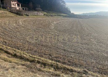 IMG_7217.JPG - Terreno edificabile Via Don Giovanni Calabria 2, Tregnago - foto 12