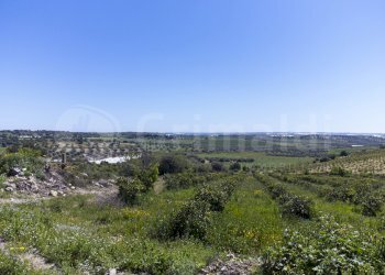 11 - Stable - Palace villa regina isula travel, Noto - photo 11