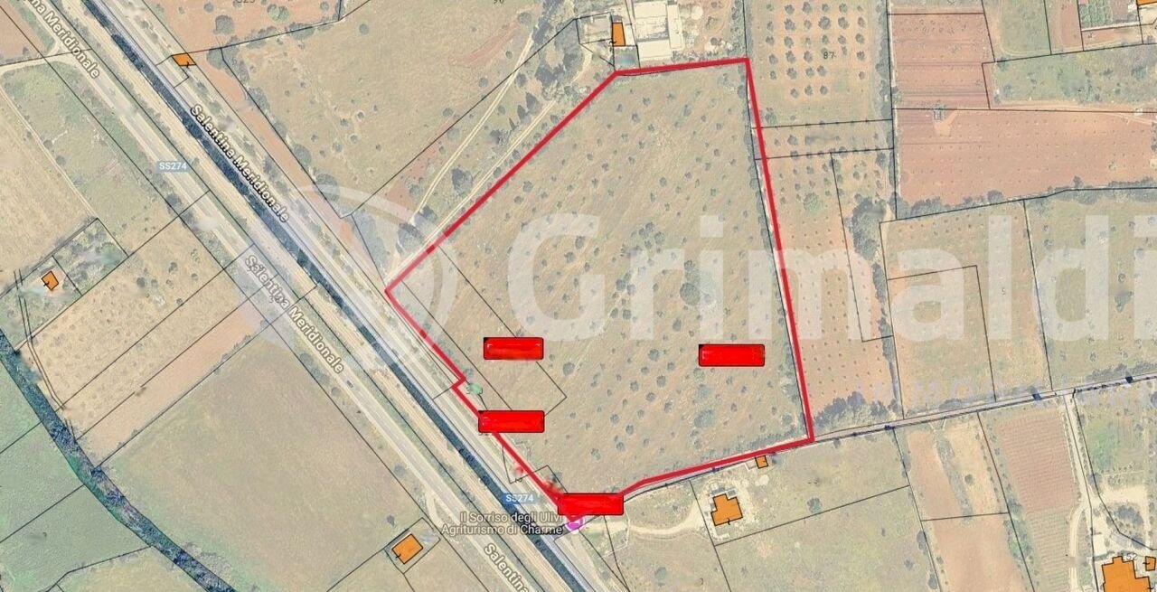 Immagine WhatsApp 2025-10-03 ore 16.52.15_a4026584 - Terreno agricolo Strada Statale 274, Gallipoli - planimetria 1
