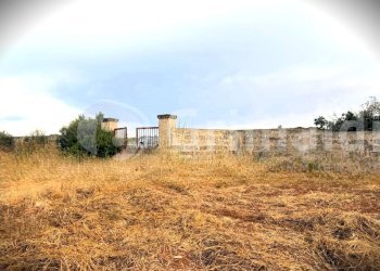 WhatsApp Image 2026-06-30 at 19.43.11 (2)_risultat - Terreno agricolo Strada Statale 274, Gallipoli - foto 5