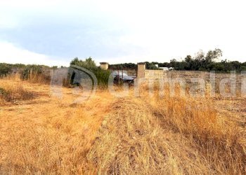 WhatsApp Image 2026-06-30 at 19.44.02 (12)_risulta - Terreno agricolo Strada Statale 274, Gallipoli - foto 16