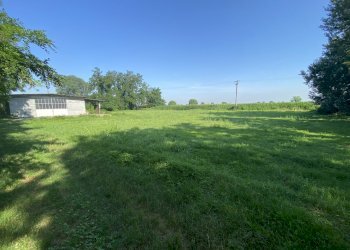 IMG_2312 - Shed Via Papa Giovanni XXIII 4, Caselle Landi - photo 5