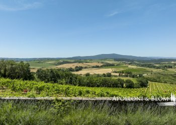 Single Family Villa Strada di Carpineto, 112, Castellina in Chianti - photo 37