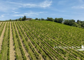 Single Family Villa Strada di Carpineto, 112, Castellina in Chianti - photo 39