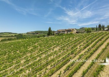 Single Family Villa Strada di Carpineto, 112, Castellina in Chianti - photo 40