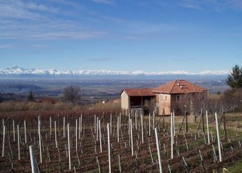 Villa La Morra - photo 11