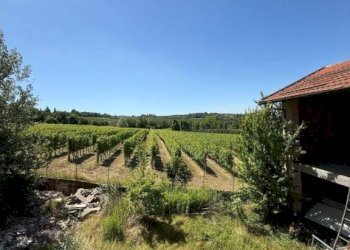 Villa La Morra - photo 32