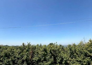 Villa La Morra - photo 33