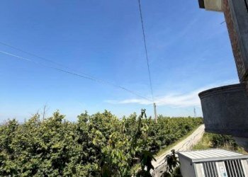 Villa La Morra - photo 34