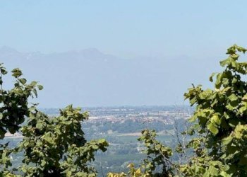 Villa La Morra - photo 35