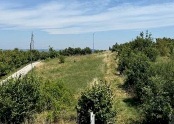 Villa La Morra - photo 36