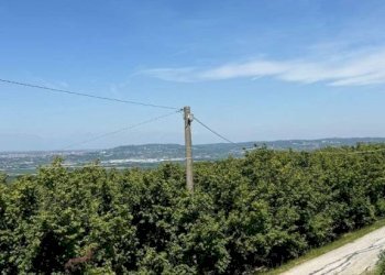 Villa La Morra - photo 37