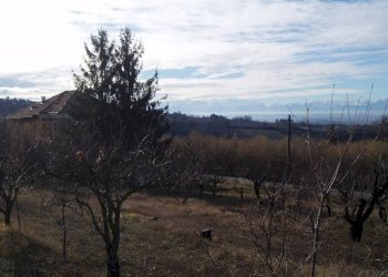 Villa La Morra - photo 40