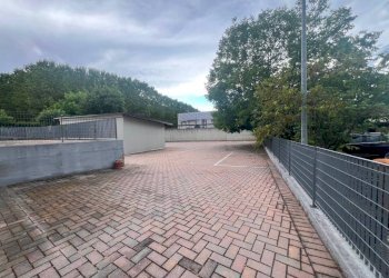 Negozio Alba - foto 7