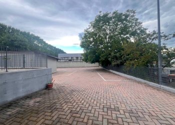 Negozio Alba - foto 8