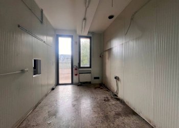 Negozio Alba - foto 15