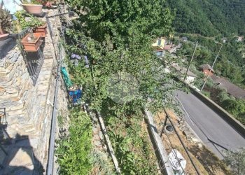 Four-room apartment Passo rue, Avegno - photo 32