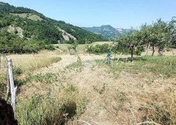 Casa semi indipendente Frazione rovello inferiore, Mongiardino Ligure - foto 27
