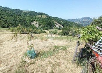 Casa semi indipendente Frazione rovello inferiore, Mongiardino Ligure - foto 28