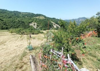 Casa semi indipendente Frazione rovello inferiore, Mongiardino Ligure - foto 29