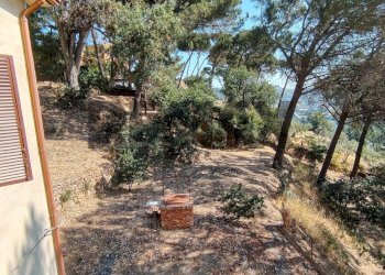 Giardino - Villa Contrada Piano Marino
 
snc, Piazza Armerina - photo 16