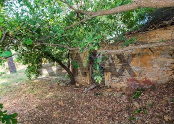 Giardino - Villa Contrada Piano Marino
 
snc, Piazza Armerina - foto 43
