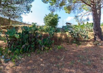 Giardino - Villa Contrada Piano Marino
 
snc, Piazza Armerina - foto 44