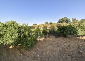 Giardino - Villa Contrada Terravecchia
 
snc, Grammichele - foto 9