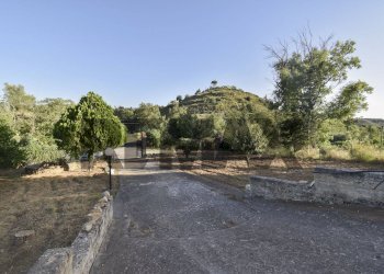 Giardino - Villa Contrada Terravecchia
 
snc, Grammichele - foto 10