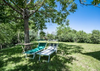 Giardino - Casa indipendente VIA MONTE TREBBIO
 
18, Dovadola - foto 49