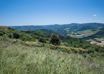 Vista delle montagne - Casa indipendente VIA MONTE TREBBIO
 
18, Dovadola - foto 55