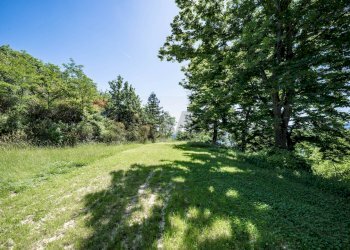 Giardino - Casa indipendente VIA MONTE TREBBIO
 
18, Dovadola - foto 56