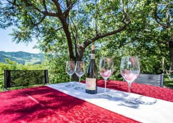 Terrazza - Casa indipendente VIA MONTE TREBBIO
 
18, Dovadola - foto 58