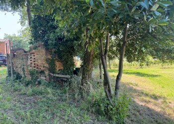 Giardino - Rustico VIA VALLETTA
30, Brisighella - foto 12