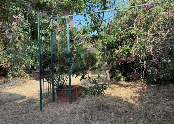 Giardino - Apartment str. IV femmina morta
 
76, Riposto - photo 24