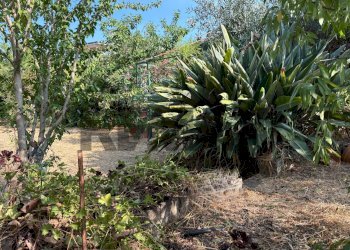 Giardino - Apartment str. IV femmina morta
 
76, Riposto - photo 27