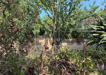 Giardino - Apartment str. IV femmina morta
 
76, Riposto - photo 28