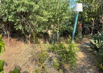 Giardino - Apartment str. IV femmina morta
 
76, Riposto - photo 29