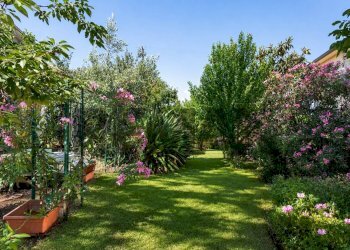Giardino - Appartamento str. IV femmina morta
 
76, Riposto - foto 26